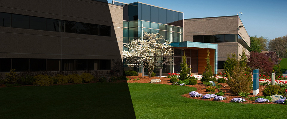 Palisades Park Landscapers