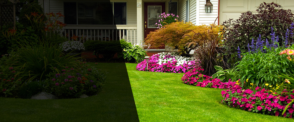 Palisades Park Landscapers