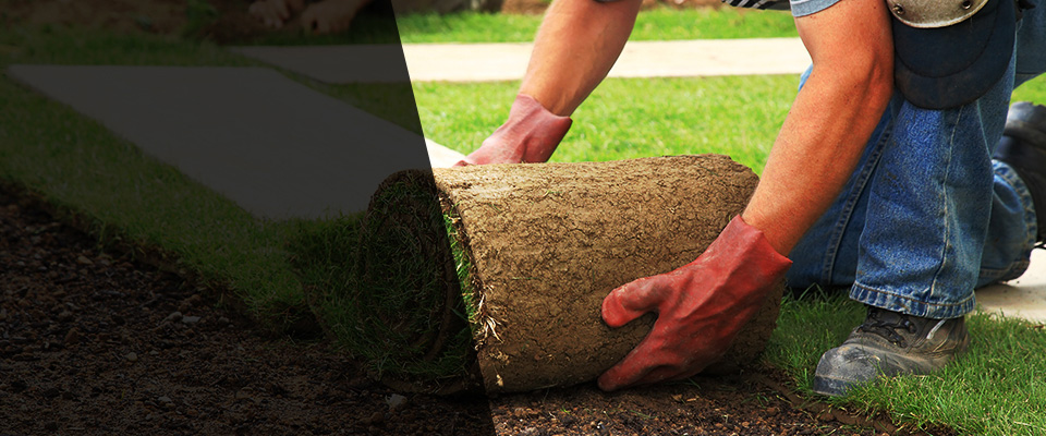 Palisades Park Landscapers